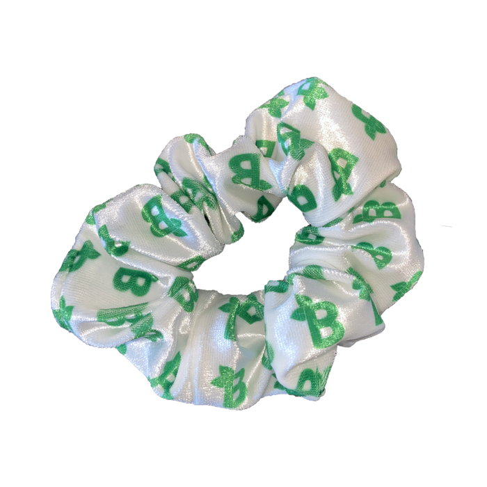 Free Scrunchie H0